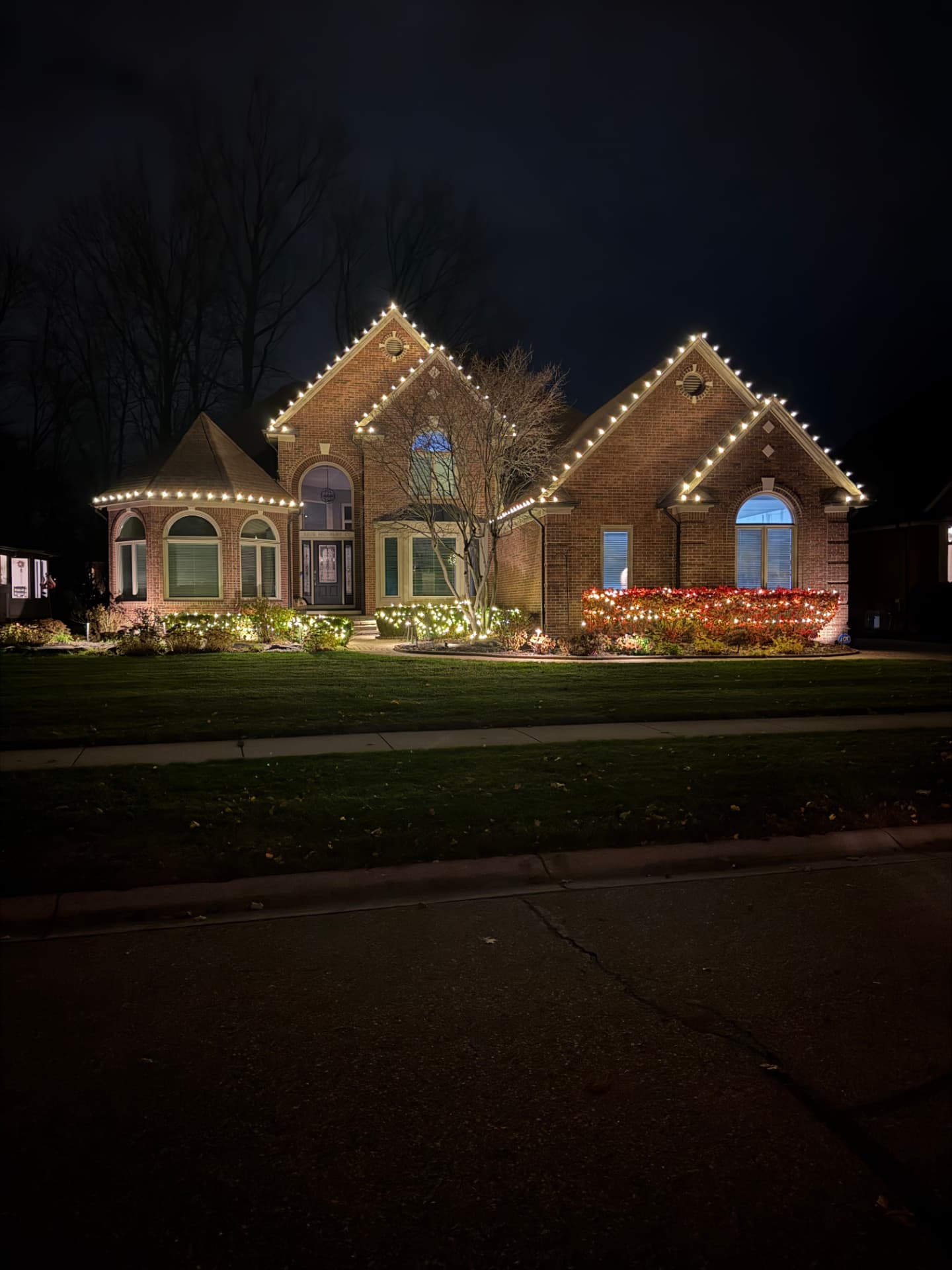 Dynamite Lights holiday lighting installation 10