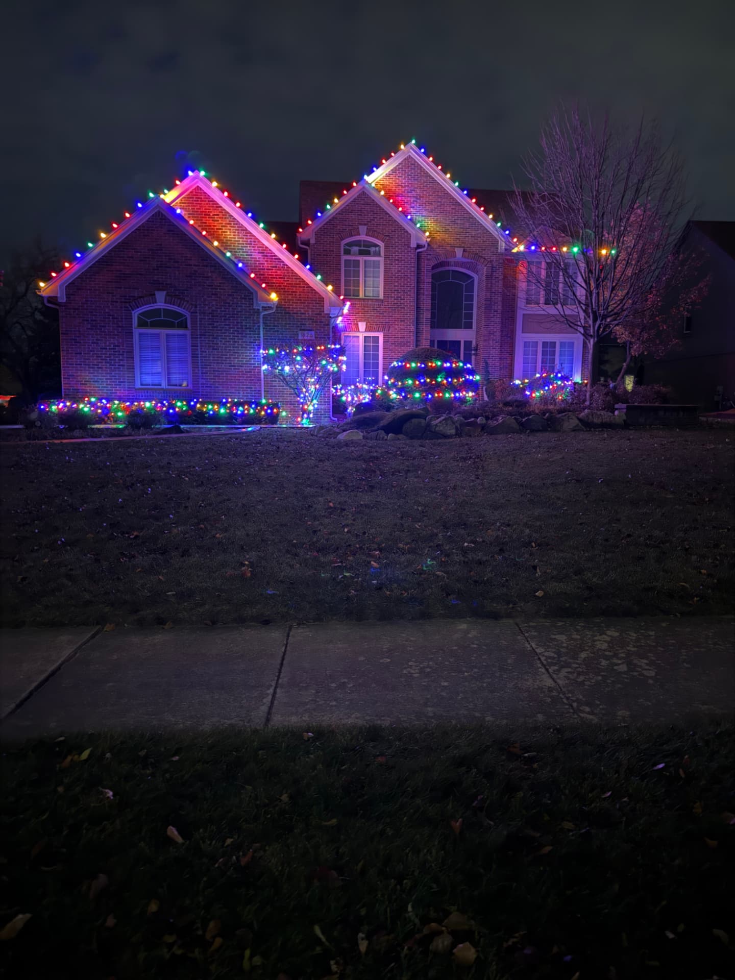 Dynamite Lights holiday lighting installation 3