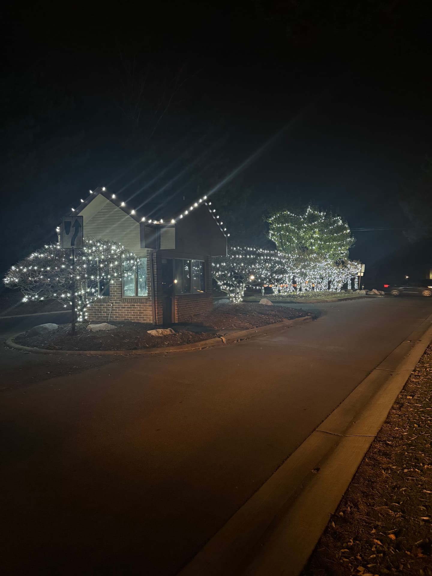 Dynamite Lights holiday lighting installation 14